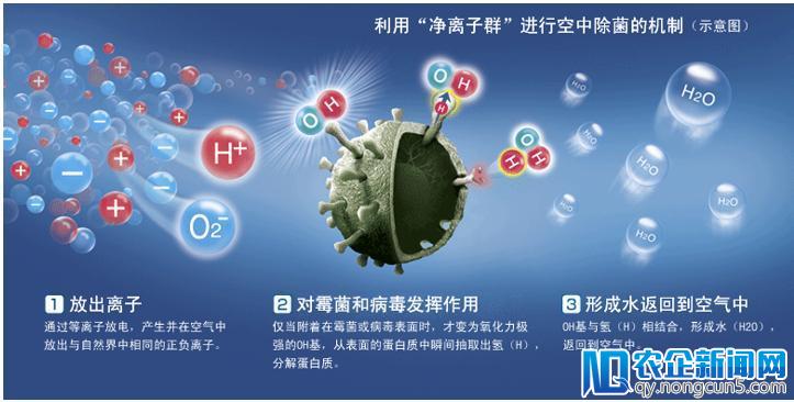 净益求精 夏普白电在CES亚洲有料要爆