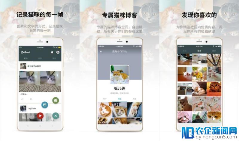 每一只宠物都值得被记录，Catbook想做“宠物版”的快手