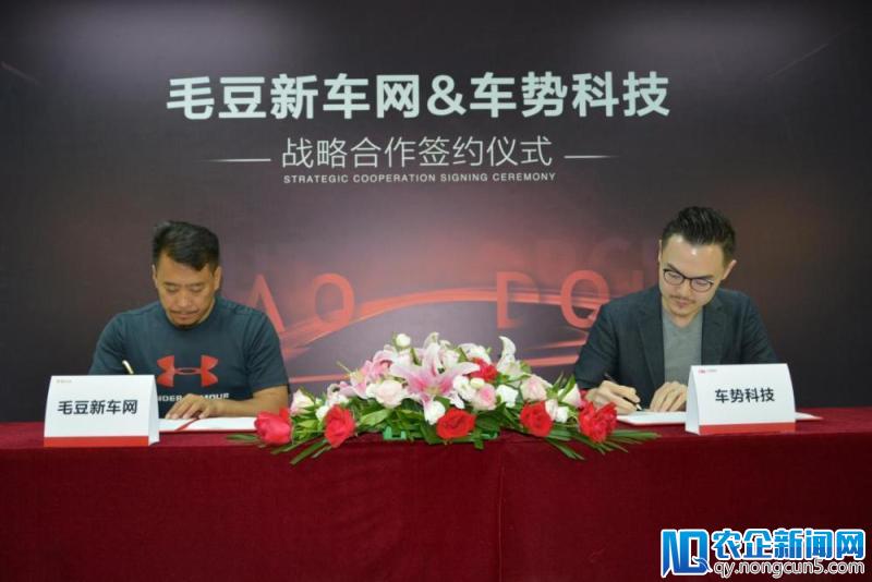 毛豆新车网与车势科技达成全方位战略合作