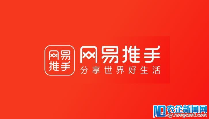 我在网易做推手，精致生活分享家是这样养成的