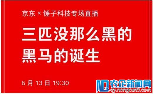 罗永浩的黑马故事又要来了！据说这次是坚果R1、坚果Pro 2特别版和坚果3