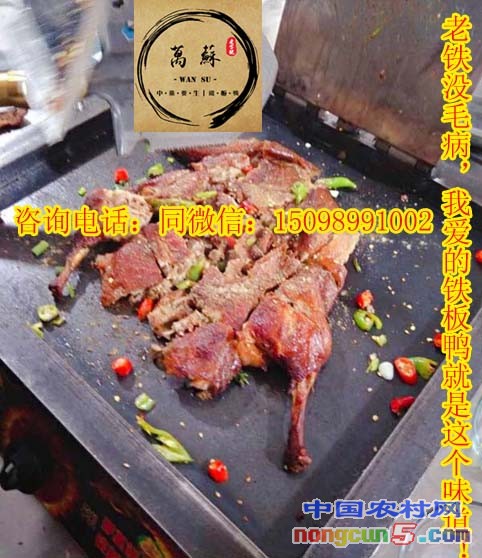 5 6拷貝