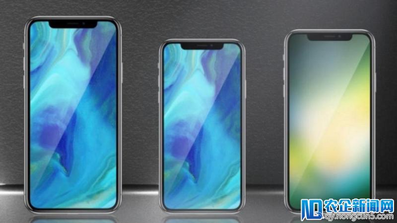 今年三款新 iPhone 还没出来，但最流行是哪一款我们已经知道了