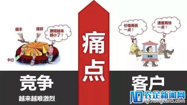 专线物流为什么难出巨头？