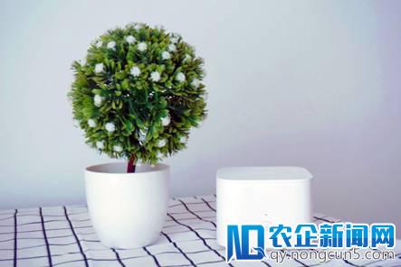 抓紧618最后的优惠：荣耀千兆路由低至99元