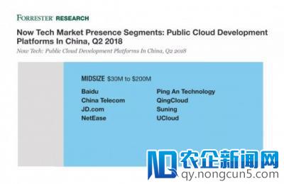 平安云厚积薄发，表现抢眼受Forrester Research认可