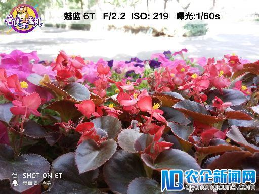 魅蓝6T：踏踏实实入门级、惟精惟一百元机