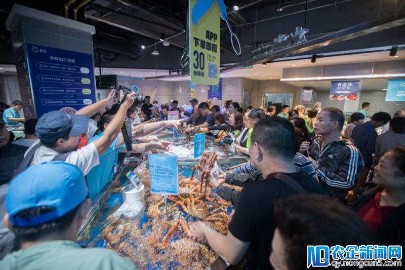 盒马入选福布斯最具创新力企业榜  稳坐新零售榜首-天下网商-赋能网商，成就网商