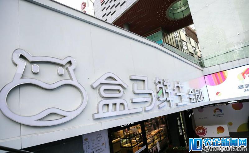盒马入选福布斯最具创新力企业榜  稳坐新零售榜首-天下网商-赋能网商，成就网商