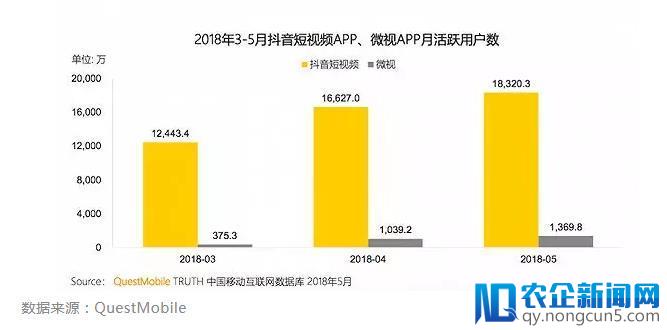 联合还是围剿？“头腾大战”背后的焦虑与未来