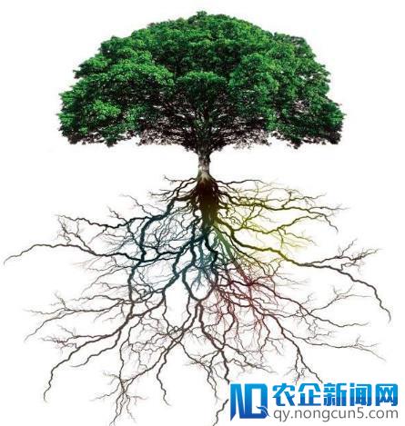 高校如何选拔网安人才