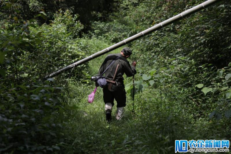 他们在蚂蚁森林等一只豹回来-天下网商-赋能网商，成就网商