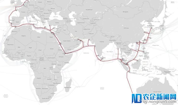 光纤电缆、服务器和超过550,000英里的水下电缆：这是互联网实际上的样子