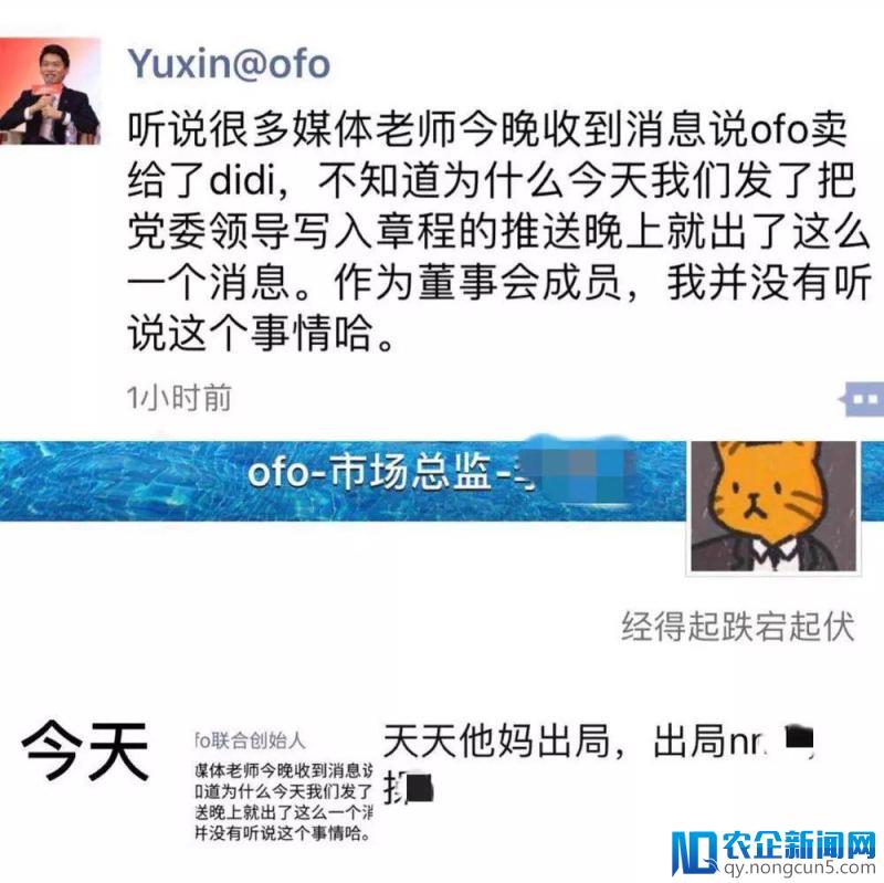 卖身，自立？ofo待售成谜：音讯称将并