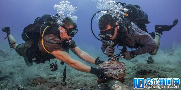 光纤电缆、服务器和超过550,000英里的水下电缆：这是互联网实际上的样子