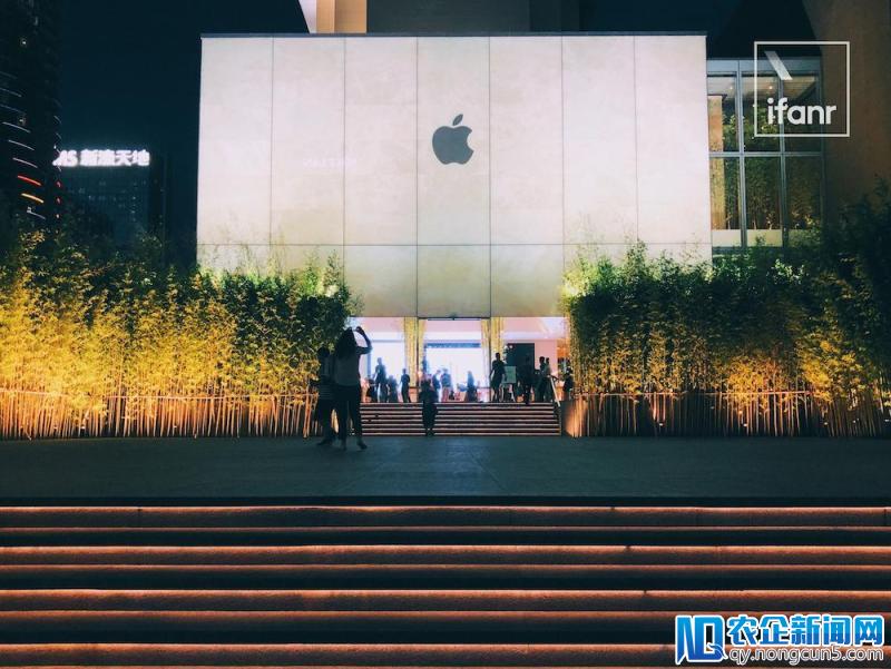 澳门赌场的 Apple Store 新开张，里面居然种着一片竹林？