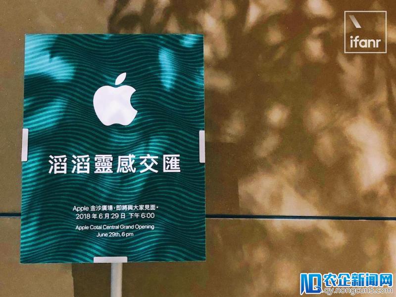 澳门赌场的 Apple Store 新开张，里面居然种着一片竹林？