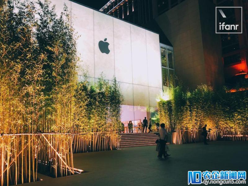 澳门赌场的 Apple Store 新开张，里面居然种着一片竹林？