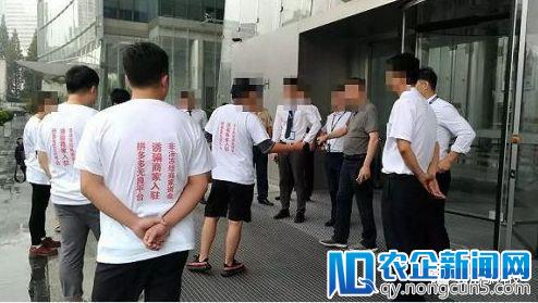 拼多多招股书曝铠甲与软肋 亏超13亿如何拼上市？