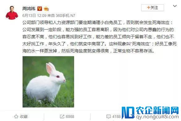 创业公司该如何对抗死海效应？这三重法则告诉你如何应对