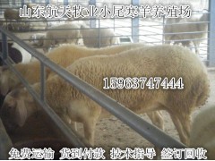 珠海市利木贊牛養(yǎng)殖場牛舍建設成本