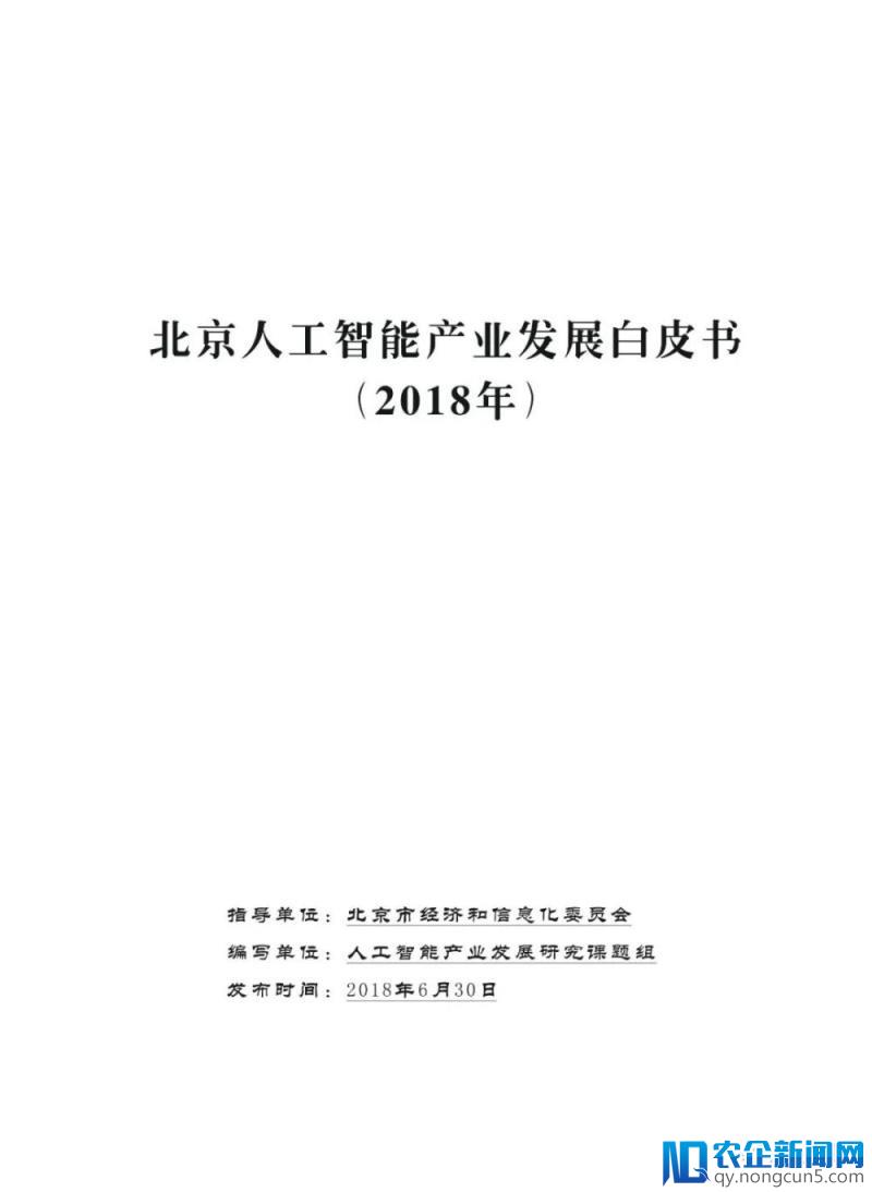 《北京人工智能产业发展白皮书（2018年》发布