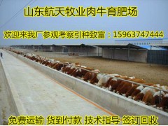 潮州市肉牛養(yǎng)殖場(chǎng)牛舍建設(shè)圖紙