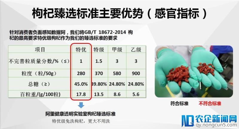 首个网售枸杞标准出炉 阿里健康联手权威机构为健康产品“立门槛”-天下网商-赋能网商，成就网商