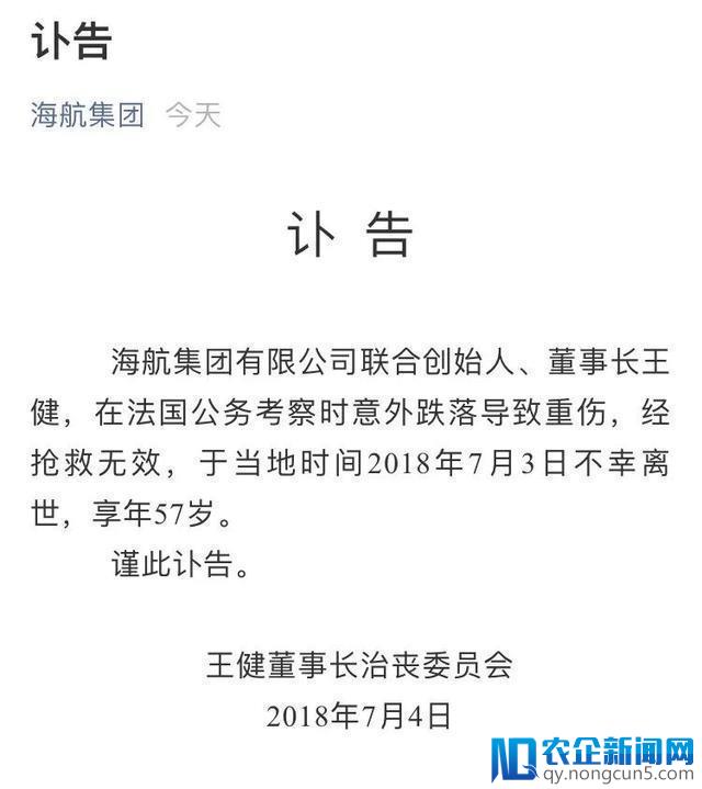 董事长王健意外身亡，海航的新零售布局将走向何方？-天下网商-赋能网商，成就网商