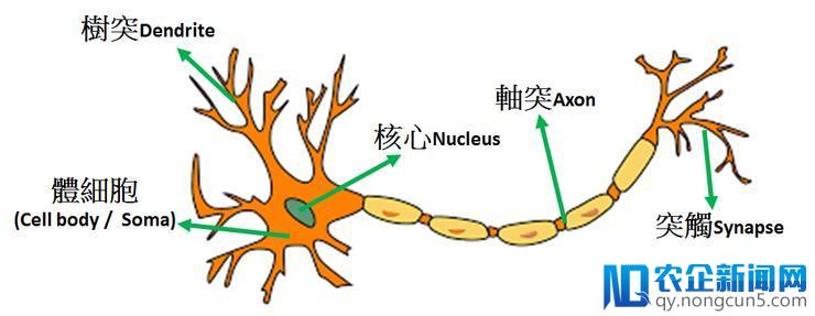 机器学习新打破：谷歌研讨人员应用AI自