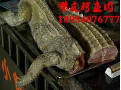 任丘市鱷魚(yú)苗養(yǎng)殖技術(shù)