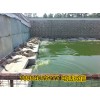 南京市鱷魚(yú)養(yǎng)殖場(chǎng)在哪里