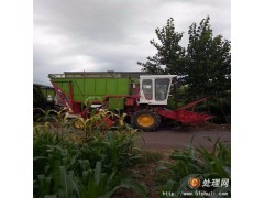 常年低價出售二手玉米青儲收割機