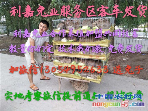 微信圖片_20170728224953