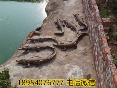 上海地區(qū)鱷魚血酒怎么賣的