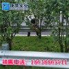 河南焦作路側(cè)波形梁鋼護(hù)欄生產(chǎn)廠家噴塑W型護(hù)欄防護(hù)欄板