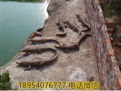 河南新鄭市鱷魚鞭多少錢一個