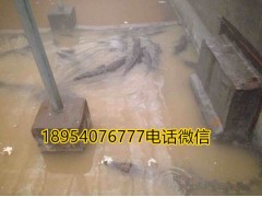 河南新鄭市商品鱷魚(yú)多少錢(qián)一斤