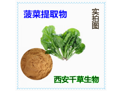 水溶性菠菜提取物濃縮粉浸膏粉廠家生產(chǎn)