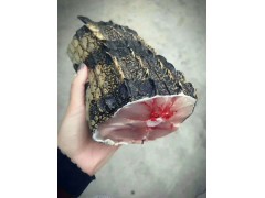 廣東地區(qū)鱷魚雪米價(jià)格多少