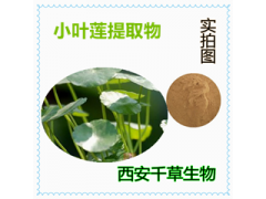 小叶莲提取物 小叶莲浓缩粉 小叶莲浸膏粉定制浸膏