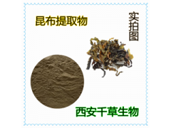 昆布提取物 昆布浓缩粉 昆布浸膏粉 厂家生产定制浸膏颗粒