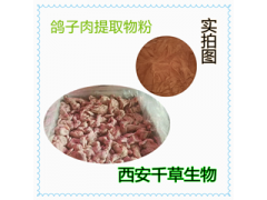 鴿肉提取物 鴿肉濃縮粉 鴿肉浸膏粉廠家生產(chǎn)