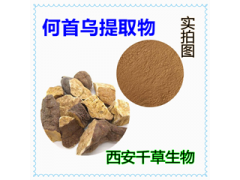 何首烏提取物 何首烏濃縮粉 何首烏浸膏粉廠家生產(chǎn)