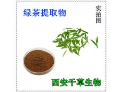水溶性绿茶提取物绿茶浓缩粉绿茶浸膏粉厂家生产