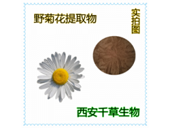 野菊花提取物 野菊花濃縮粉 野菊花浸膏粉廠家生產(chǎn)