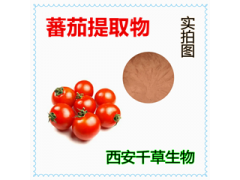 水溶性蕃茄提取物蕃茄浓缩粉蕃茄浸膏粉厂家生产