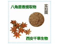 八角茴香提取物八角茴香浓缩粉八角茴香浸膏粉厂家生产