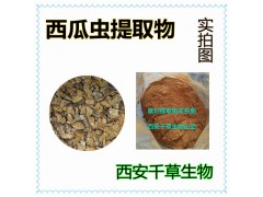 西瓜蟲(chóng)提取物西瓜蟲(chóng)濃縮粉西瓜蟲(chóng)浸膏粉廠家生產(chǎn)