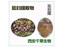 鼠婦蟲提取物 鼠婦蟲濃縮粉 鼠婦蟲浸膏粉廠家生產(chǎn)